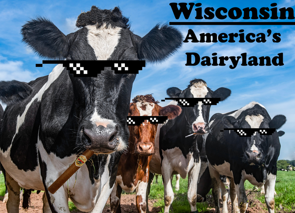 Wisconsin America's Dairyland Cows